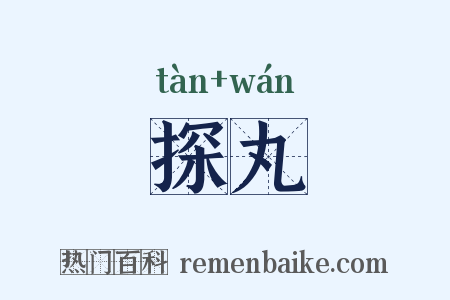 探丸是什么意思的图片